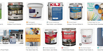 Best Mold-Resistant Paints for Interiors